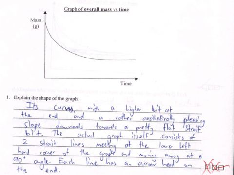 1980 Ford Bronco - A graph illustrating the relationship between mass and time, accompanied by a student's explanation of its shape.