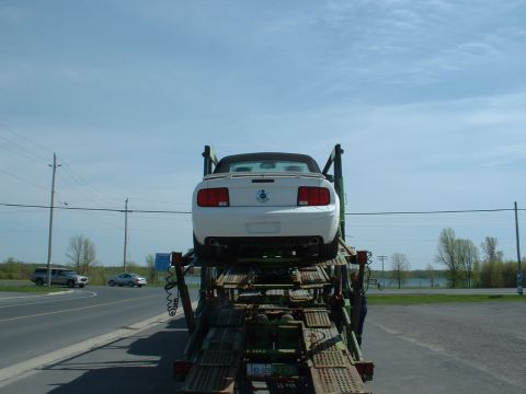 2007 Ford Mustang - White convertible car being transported on a car carrier, seen from the rear.
