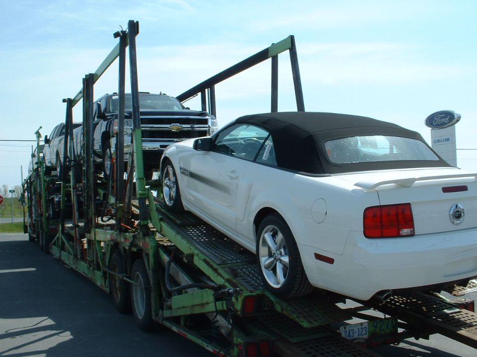 White convertible Ford Mustang on a car carrier, rear view. Black soft top up, spoiler, and alloy wheels visible