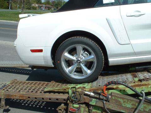 2007 Ford Mustang - Rear view of a white convertible car being transported on a car carrier.
