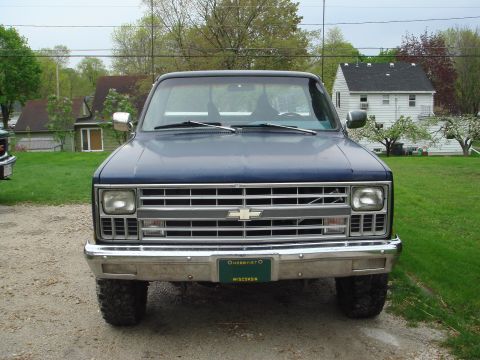 1978 Chevrolet C/K Pickup “The blue truck...”