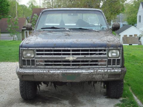 1978 Chevrolet C/K Pickup “The blue truck...”