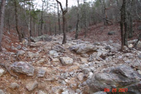 1995 Ford Bronco - A rocky, wooded area with fallen leaves and bare trees suggests an off-road trail.