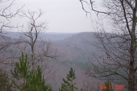 1995 Ford Bronco - View of forested hills under a cloudy sky, with bare trees framing the scene.