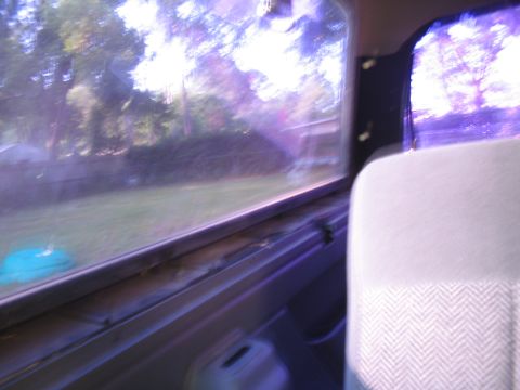 1992 Ford Bronco - View from inside a vehicle, looking out the window at trees and grass. The interior shows a fabric seat and part of the door panel.