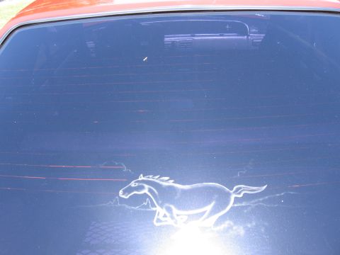 1967 Ford Mustang - This image shows a running horse decal on the rear window of a vehicle. The registry claims it is a 1967 Ford Mustang.
