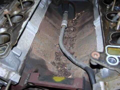 1997 Lincoln Town Car - Close-up view of an engine's intake manifold, showing rust and debris accumulation.