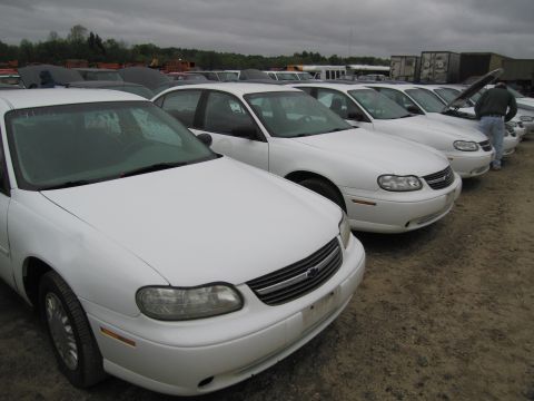 1991 Ford LTD Crown Victoria - Multiple white sedans are lined up in an outdoor lot under a cloudy sky.