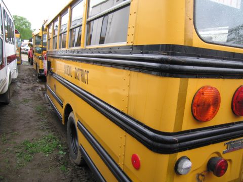 1991 Ford LTD Crown Victoria - Several yellow school buses are lined up on a muddy lot, with the rear section of one bus prominently featured.
