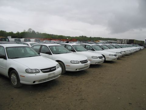 1991 Ford LTD Crown Victoria - Multiple white sedans are lined up in an outdoor lot.