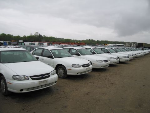 1991 Ford LTD Crown Victoria - Multiple white sedans are lined up in a parking lot, suggesting a fleet or auction setting.
