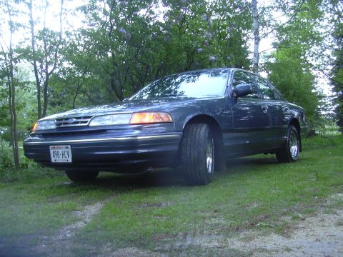 1996 Ford Crown Victoria - A dark blue sedan sits on a grassy area surrounded by trees.