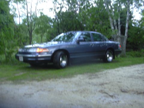1996 Ford Crown Victoria - Dark sedan with chrome wheels parked on grass, trees in background.
