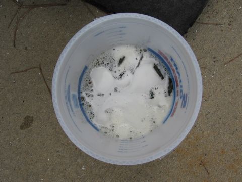 1973 Ford Ranchero - A white bucket filled with soapy water and dark-colored parts is sitting on a concrete surface.