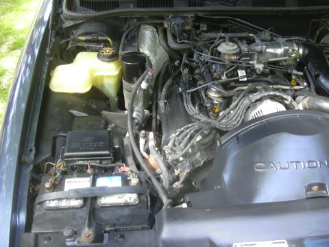 1996 Ford Crown Victoria - The engine bay of a 1996 Ford Crown Victoria shows its V8 engine, battery, and coolant reservoir.