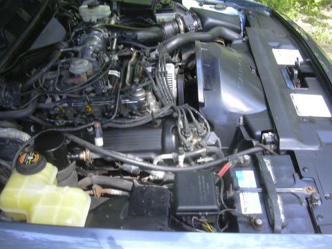 1996 Ford Crown Victoria - Close-up view of the engine bay, showing various components and wiring.