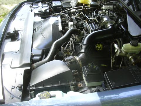 1996 Ford Crown Victoria - Close-up view of a car's engine compartment, showing various components and wiring.