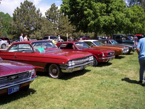 1972 Ford Ranchero - A line of classic cars are parked on a grassy field under trees on a sunny day.