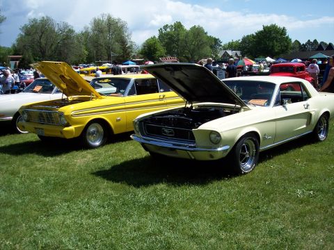 1972 Ford Ranchero - A cream-colored 1967 Ford Mustang is displayed with its hood open at a car show, alongside a yellow Ford Falcon.
