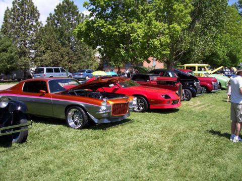1972 Ford Ranchero - A line of classic cars are displayed on a grassy field under trees.