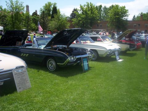 1972 Ford Ranchero - A row of vintage Ford Thunderbirds are displayed at an outdoor car show with their hoods open.