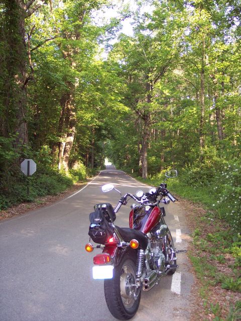 1985 Ford LTD Crown Victoria - A red motorcycle is parked on the side of a road surrounded by lush green trees.