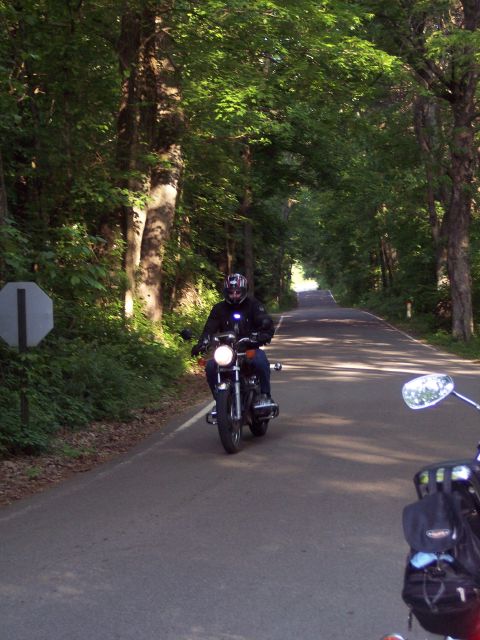 1985 Ford LTD Crown Victoria - Riding through a tunnel of trees on a sunny day, with another rider close behind.