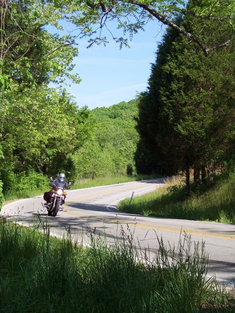 1985 Ford LTD Crown Victoria - A motorcycle navigates a curve on a rural road surrounded by lush green trees under a clear blue sky.