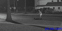 1987 Suzuki Samurai - A person and their dog are on a grassy area at night, with buildings in the background.