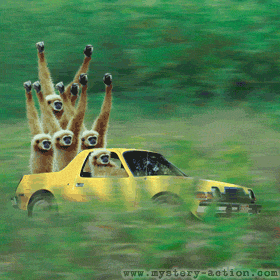 1987 Suzuki Samurai - A yellow pickup truck carries several giraffes in its bed, surrounded by tall green grass.