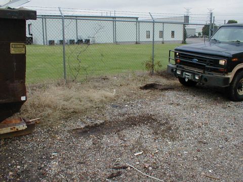 1983 Ford Bronco - Nope. 2-wheel peel.