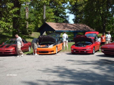 1995 Ford Probe - Multiple Ford Probes gathered outdoors with their hoods open on a sunny day.