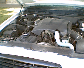 1999 Ford Crown Victoria photo