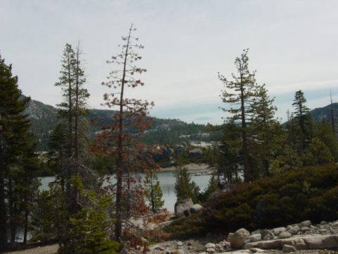 1986 Ford Bronco - A scenic view of a lake surrounded by pine trees and rocky terrain under a cloudy sky.