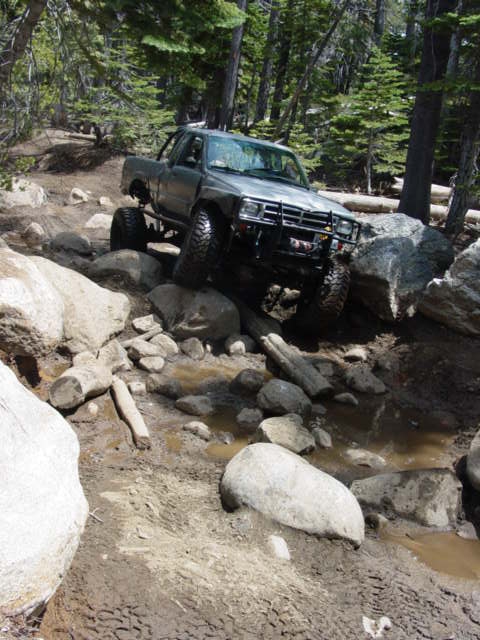 1986 Ford Bronco - A modified truck tackles a challenging off-road course through a wooded area.