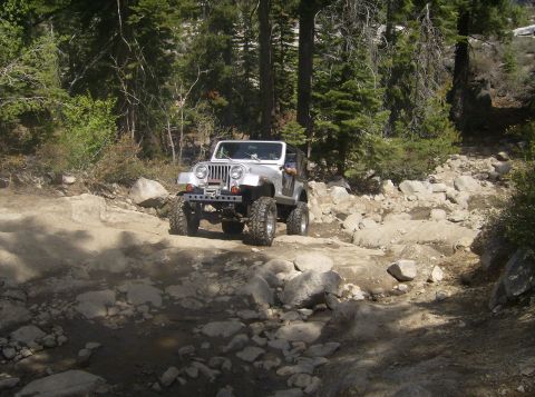 1986 Ford Bronco - Jeep Wrangler driving on a challenging, rocky trail through a wooded area.