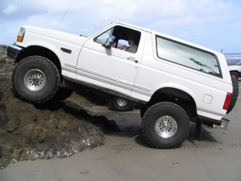 1983 Ford Bronco - Alvey