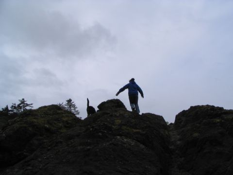 1983 Ford Bronco - A person and a dog stand on a rocky hill under a cloudy sky.