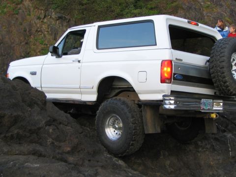 1983 Ford Bronco - Alvey on top