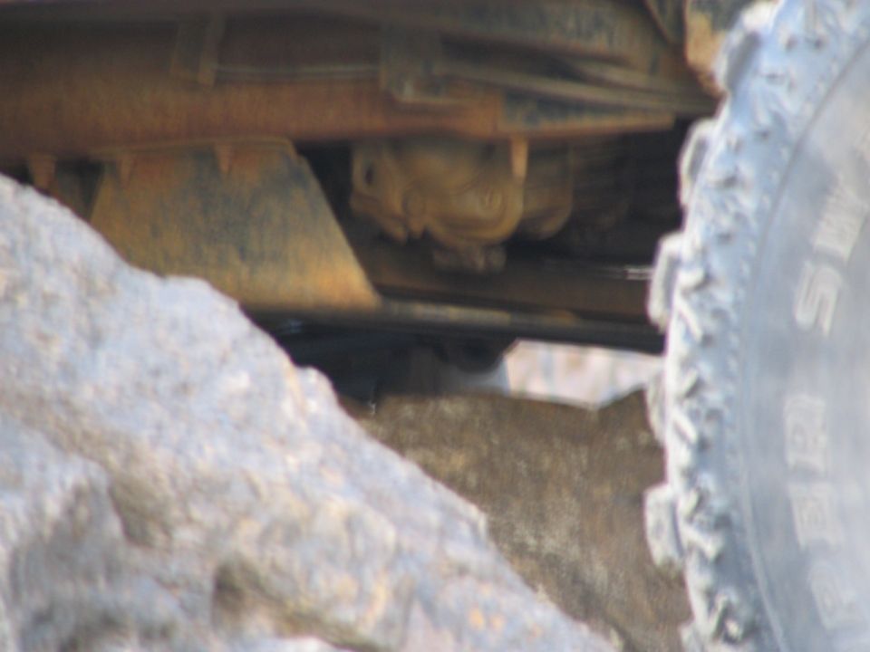 Alvey's skid plate