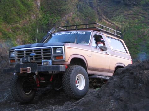 1983 Ford Bronco - pose