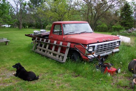 1979 Ford F-150 photo