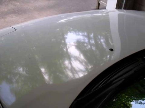 1996 Ford Probe - Reflections of trees are visible on the glossy surface of a car's hood.