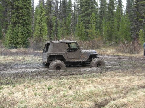 1995 Ford Bronco - A mud-covered Jeep Wrangler is stuck in a muddy field surrounded by trees.
