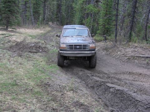 1995 Ford Bronco - A 1995 Ford Bronco navigates a muddy path in a wooded area.