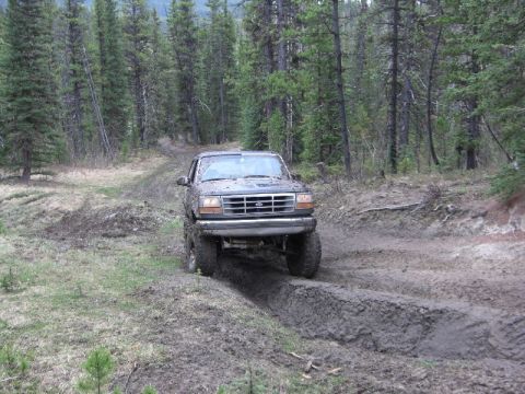 1995 Ford Bronco - A Ford Bronco navigates a challenging muddy track surrounded by dense trees.