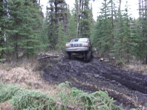 1995 Ford Bronco - This Ford truck is stuck deep in the mud on a wooded trail, with trees all around.