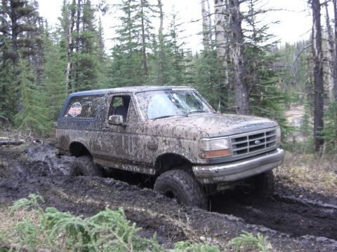 1995 Ford Bronco - A heavily mud-caked Ford Bronco navigates a challenging off-road path through a dense forest.