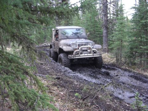 1995 Ford Bronco - Jeep Wrangler struggling on a muddy off-road path surrounded by trees.