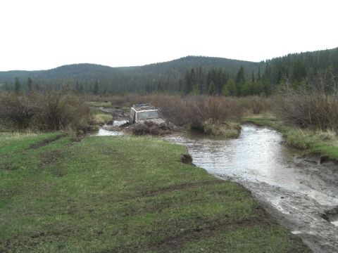 1995 Ford Bronco - Off-road vehicle stuck in a muddy stream surrounded by brush and trees.